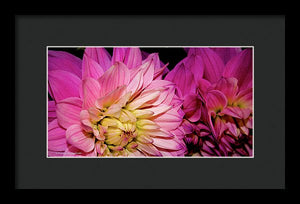 Floral Glory  Bpa 1002 - Framed Print