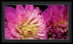 Load image into Gallery viewer, Floral Glory  Bpa 1002 - Framed Print
