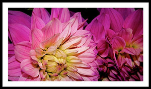 Floral Glory  Bpa 1002 - Framed Print