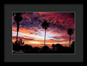 Palm Sunset - Bpa 1003 - Framed Print
