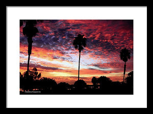 Palm Sunset - Bpa 1003 - Framed Print